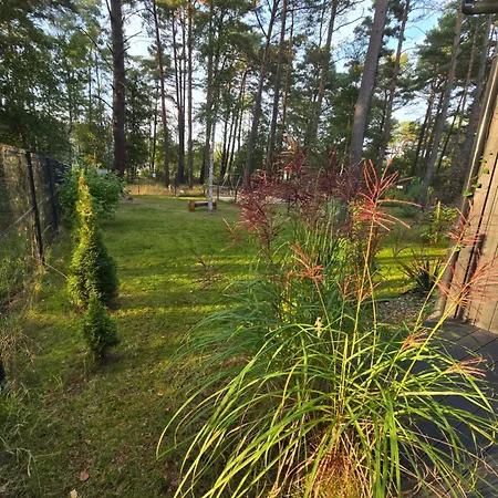 Daglezji 170 * Dziwnów