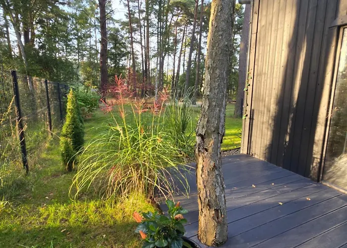 Daglezji 170 * Dziwnów